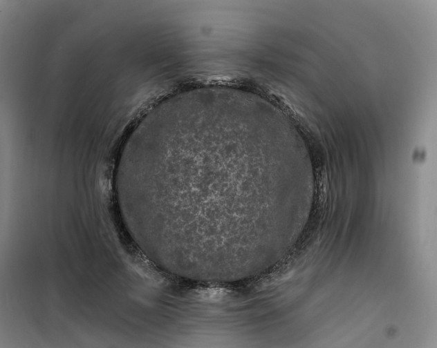 X0000101090695200807101549