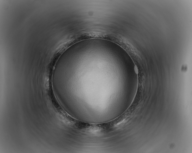 X0000101090696200807101549