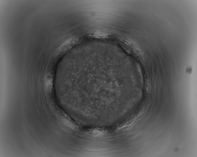 X0000101090697200807101549