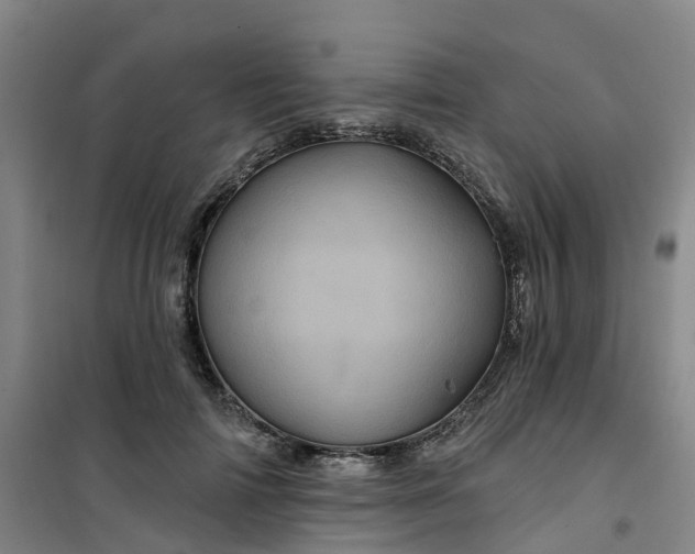 X0000101090698200807101549