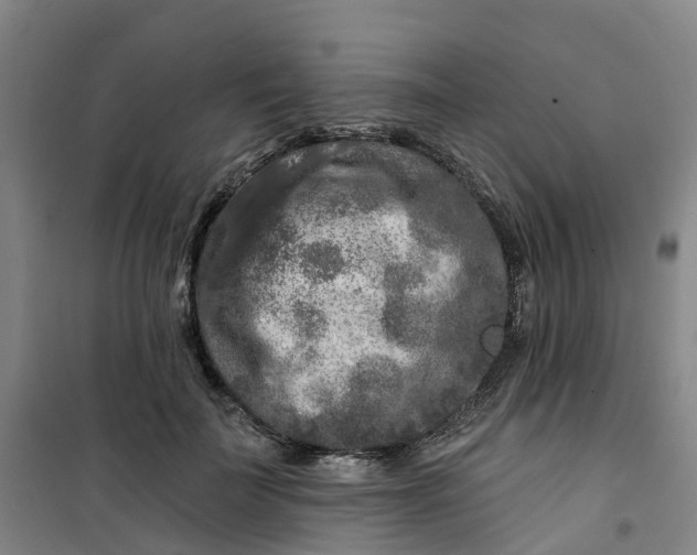 X0000101090699200807101549