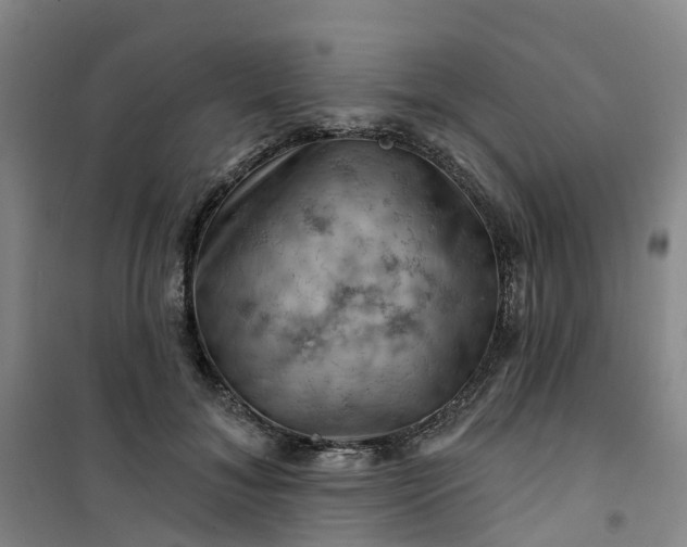 X0000101090700200807101549