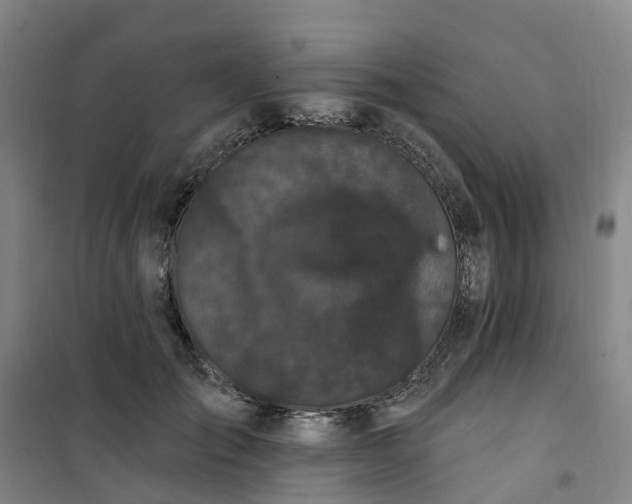 X0000101090701200807101549