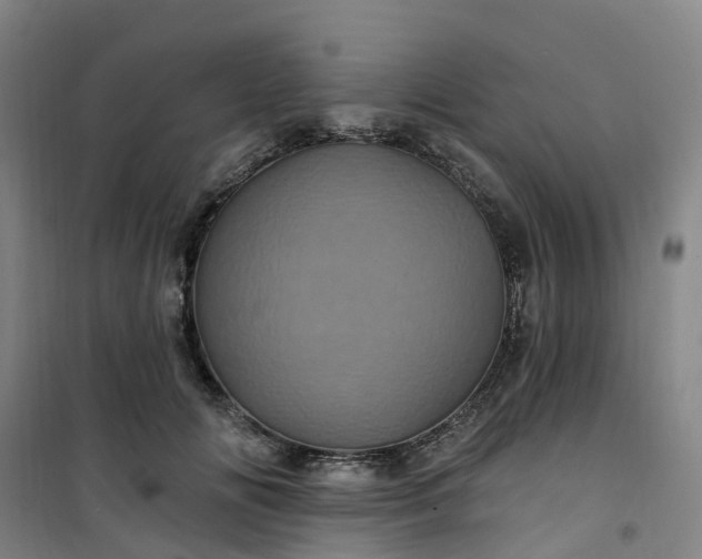 X0000101090702200807101549