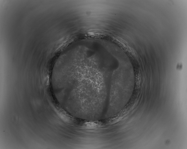 X0000101090703200807101549