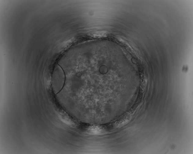 X0000101090704200807101549