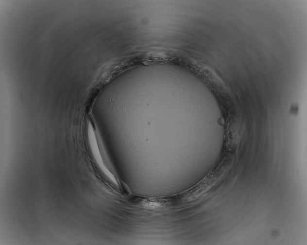 X0000101090706200807101549