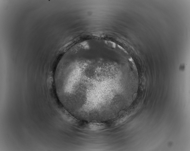 X0000101090707200807101549