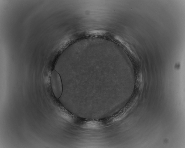 X0000101090708200807101549