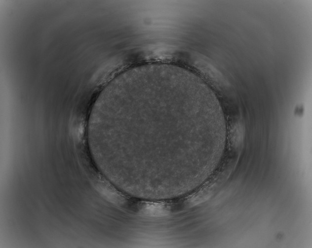 X0000101090709200807101548