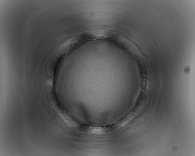 X0000101090710200807101548