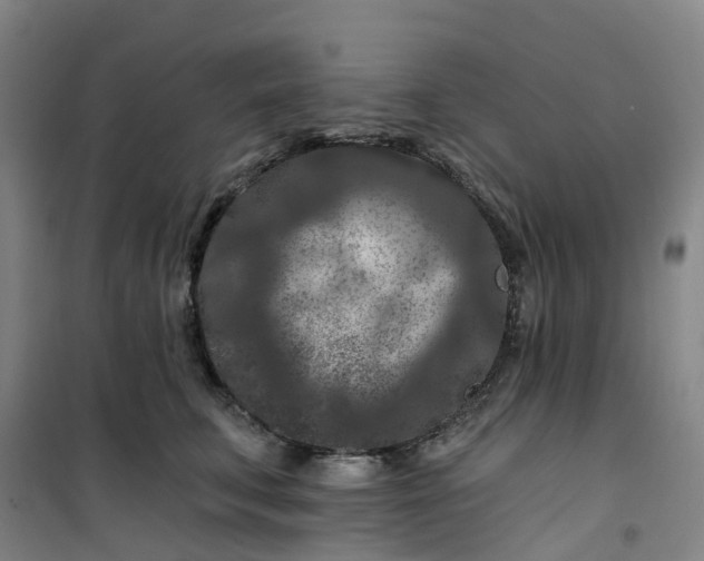 X0000101090711200807101548