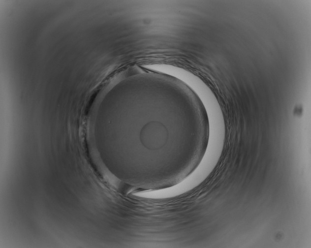 X0000101090712200807101548