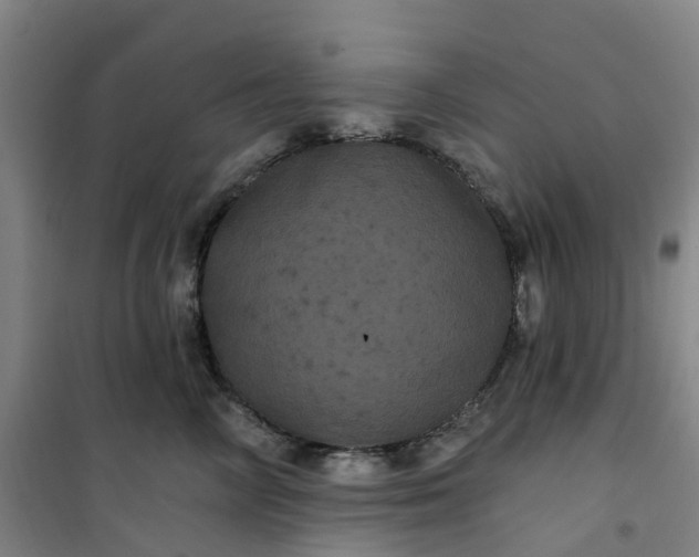 X0000101090714200807101548