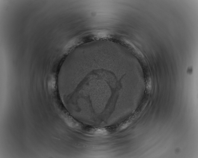 X0000101090715200807101548