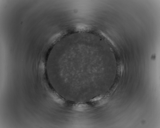 X0000101090716200807101548