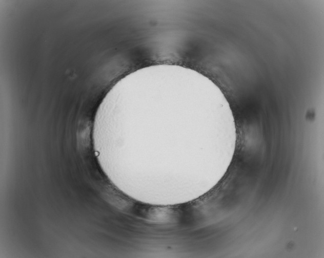 X0000101090717200807101548