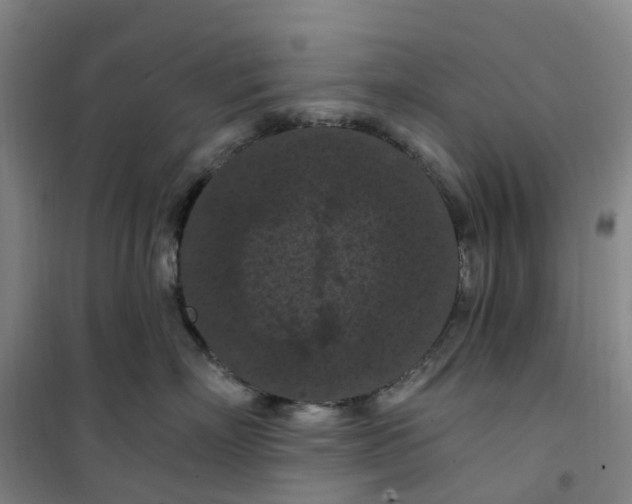 X0000101090718200807101548