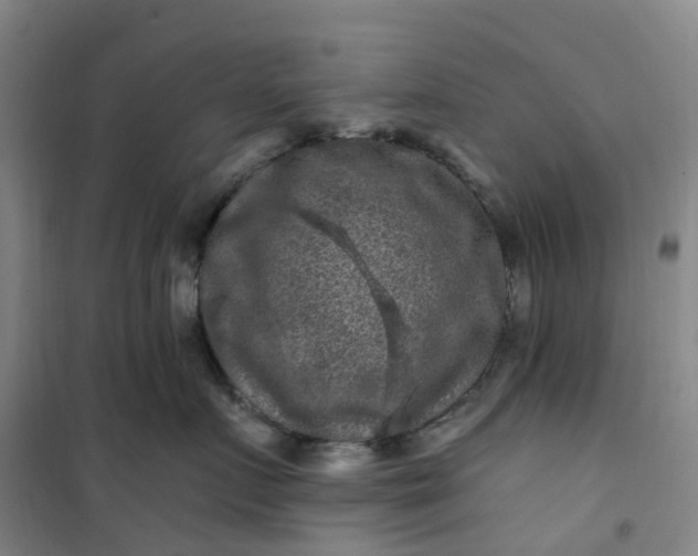 X0000101090719200807101548