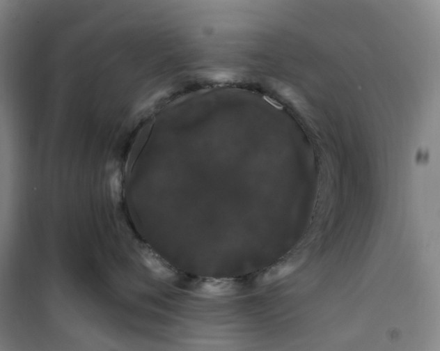 X0000101090720200807101548