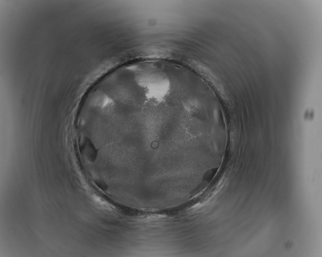 X0000101090721200807101548