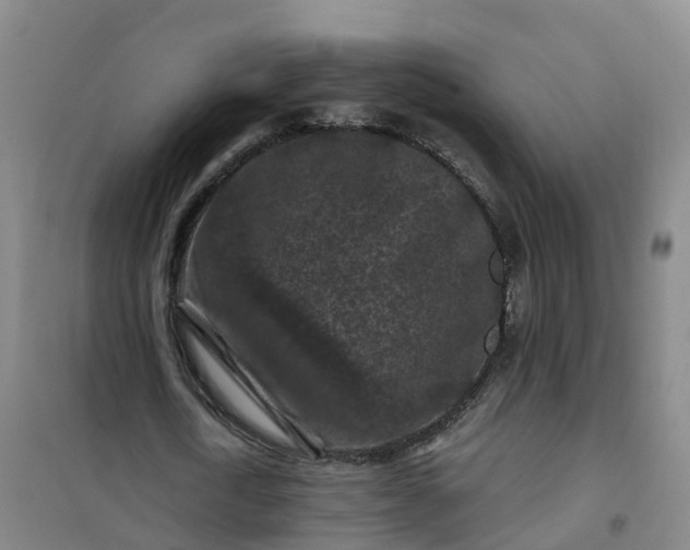 X0000101090722200807101548