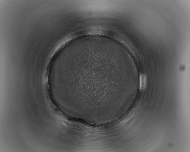 X0000101090723200807101548