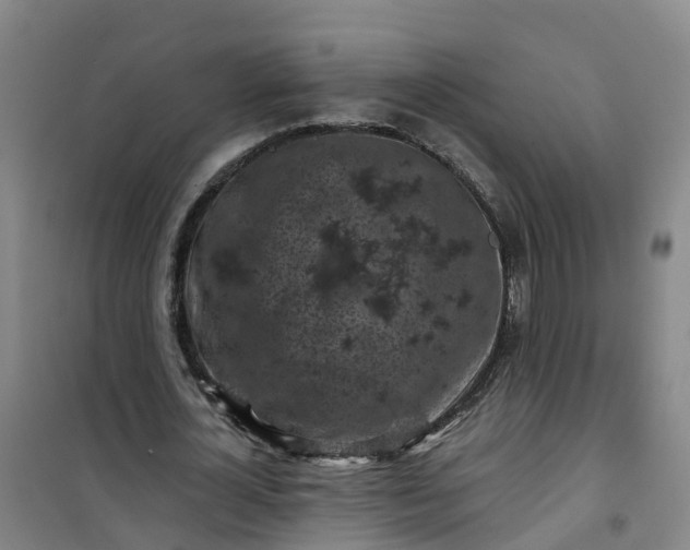 X0000101090724200807101548