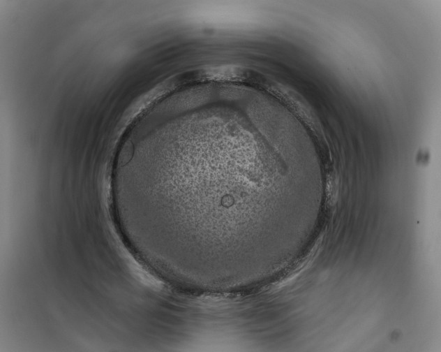 X0000101090725200807101548