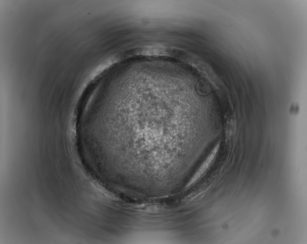 X0000101090727200807101548