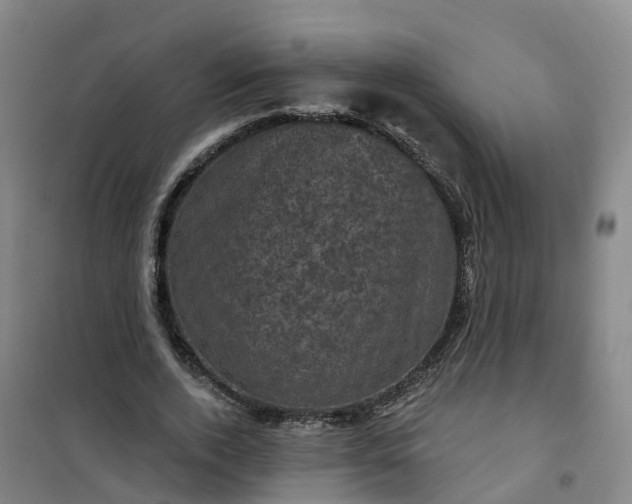 X0000101090728200807101548