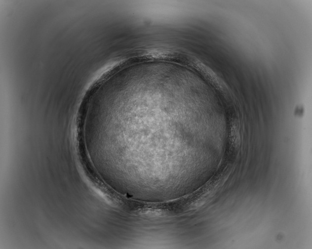 X0000101090730200807101548