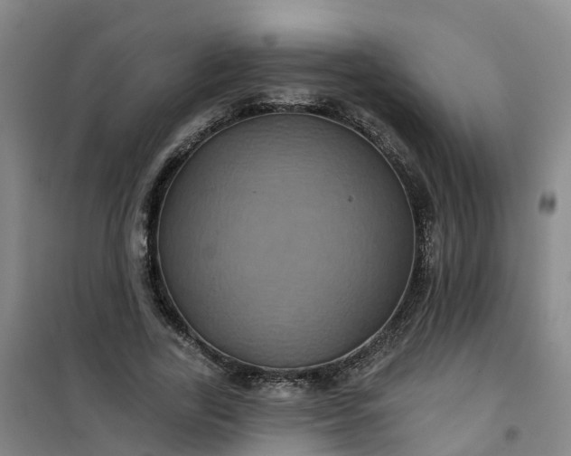 X0000101090731200807101548