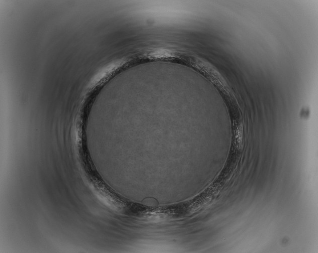 X0000101090732200807101548