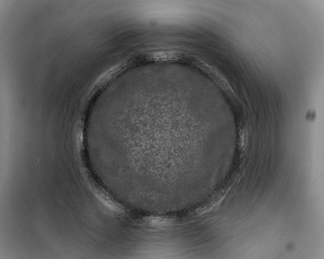 X0000101090733200807101548