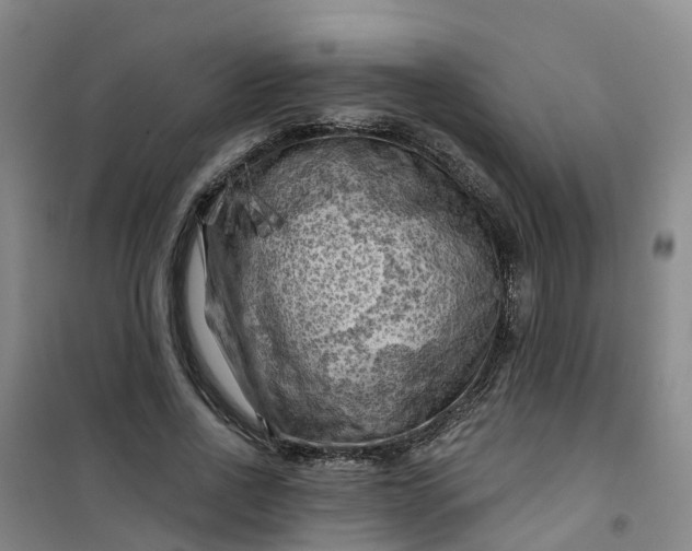 X0000101090734200807101548