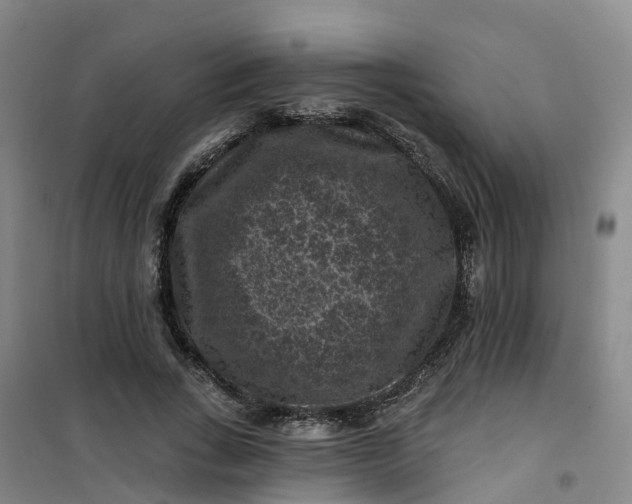 X0000101090735200807101548