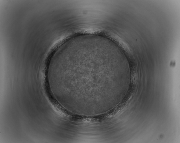 X0000101090736200807101548