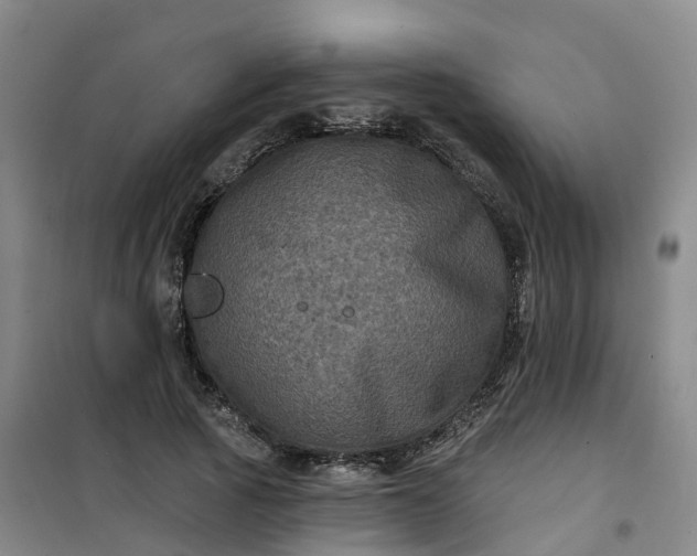 X0000101090737200807101548