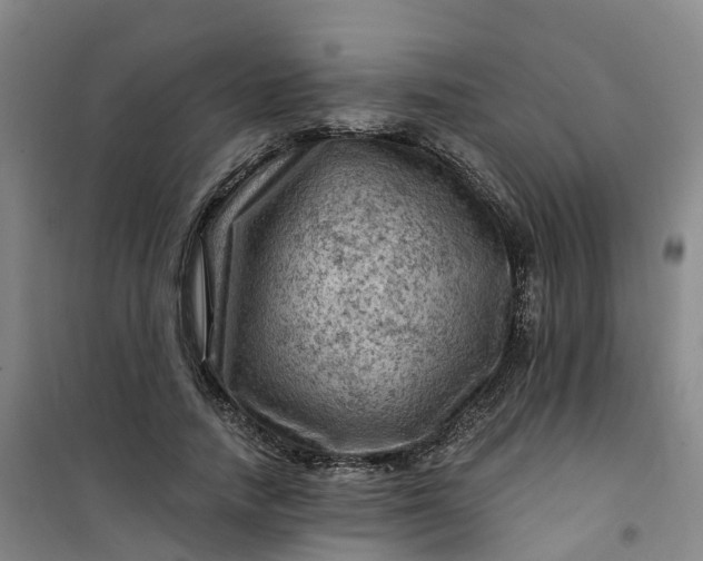 X0000101090738200807101548