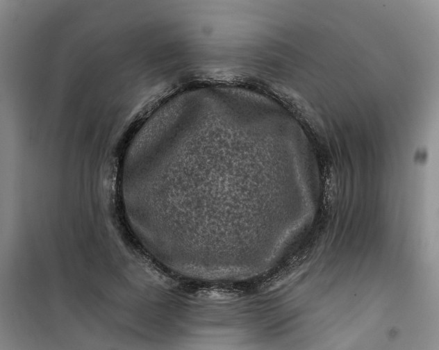 X0000101090739200807101548