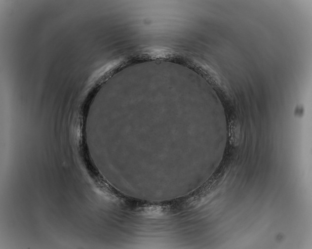 X0000101090740200807101548