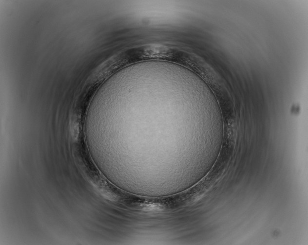 X0000101090741200807101548