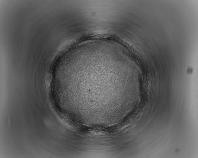 X0000101090742200807101548