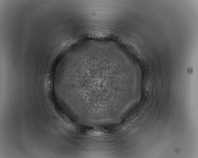 X0000101090743200807101548