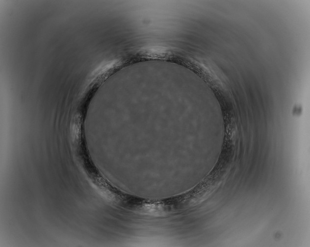 X0000101090744200807101548