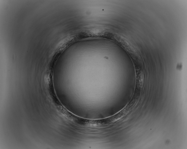 X0000101090746200807101548