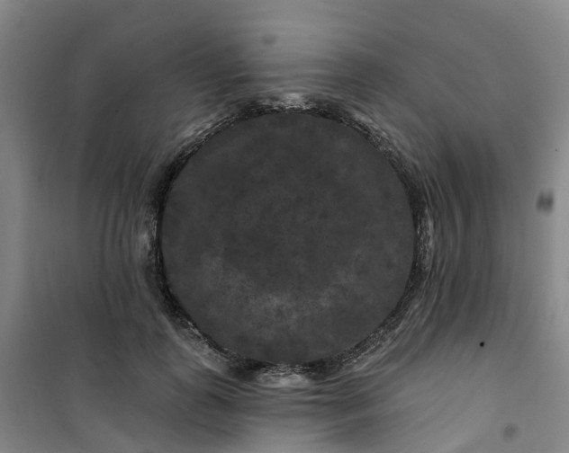 X0000101090747200807101548