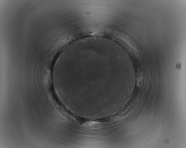 X0000101090748200807101548