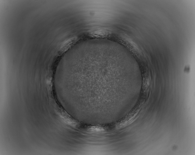 X0000101090749200807101548